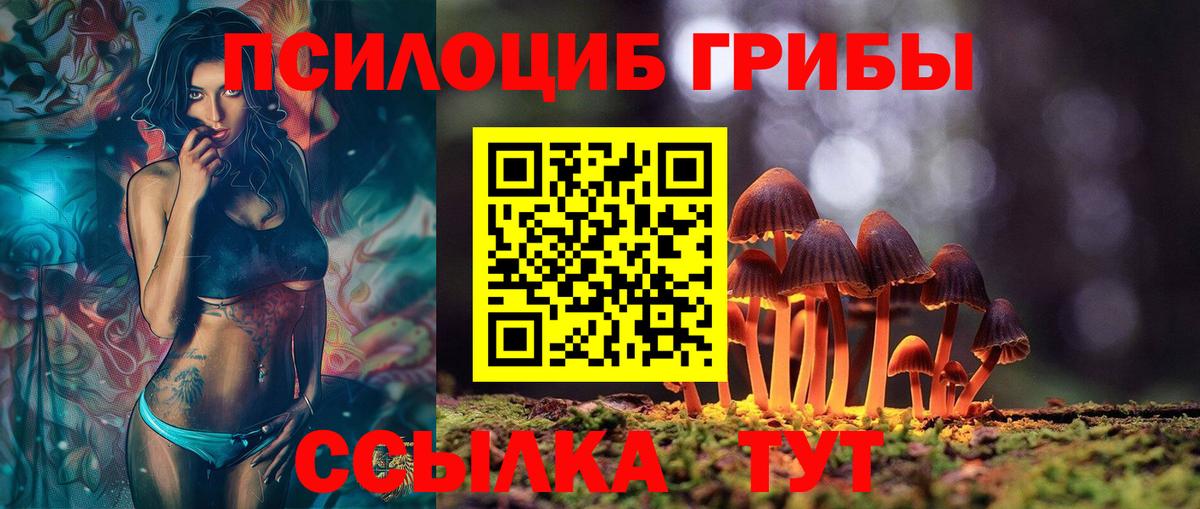 Галлюциногенные грибы Psilocybe  Вход с VPN  Галлюциногенные грибы Psilocybine cubensis  Мыски 